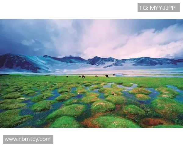 祝铭震：在音乐与人生的交汇点上追寻梦想的旅程